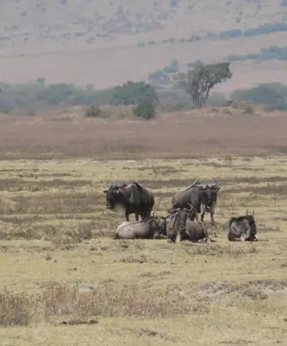 Übernachten am Kraterrand des Ngorogoro